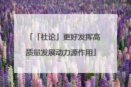 「社论」更好发挥高质量发展动力源作用