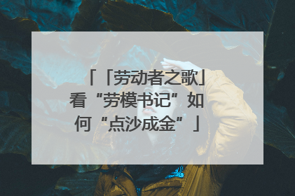 「劳动者之歌」看“劳模书记”如何“点沙成金”