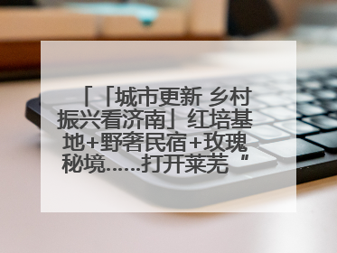 「城市更新 乡村振兴看济南」红培基地+野奢民宿+玫瑰秘境……打开莱芜“齐鲁情映山红片区”的破圈秘籍