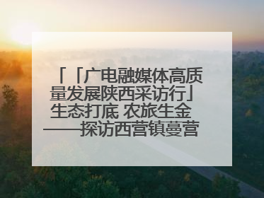 「广电融媒体高质量发展陕西采访行」生态打底 农旅生金——探访西营镇蔓营村省级旅游示范村的振兴密码