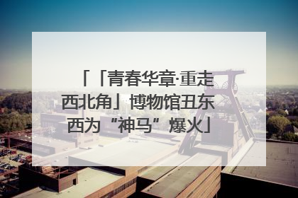 「青春华章·重走西北角」博物馆丑东西为“神马”爆火