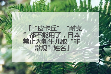 “皮卡丘”“耐克”都不能用了，日本禁止为新生儿取“非常规”姓名