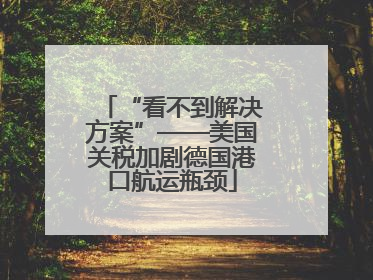 “看不到解决方案”——美国关税加剧德国港口航运瓶颈