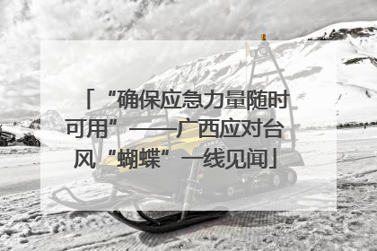 “确保应急力量随时可用”——广西应对台风“蝴蝶”一线见闻
