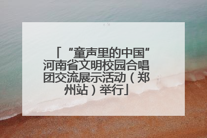 “童声里的中国”河南省文明校园合唱团交流展示活动（郑州站）举行