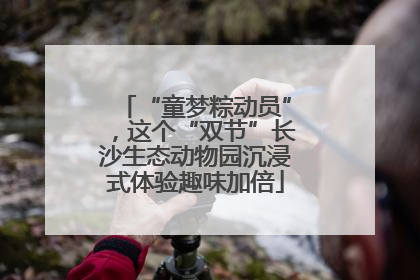 “童梦粽动员”，这个“双节”长沙生态动物园沉浸式体验趣味加倍