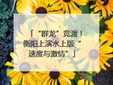 “群龙”竞渡！衡阳上演水上版“速度与激情”