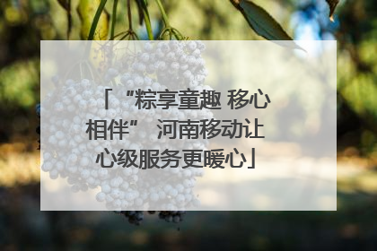 “粽享童趣 移心相伴” 河南移动让心级服务更暖心