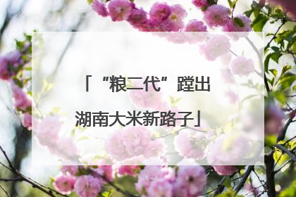 “粮二代”蹚出湖南大米新路子