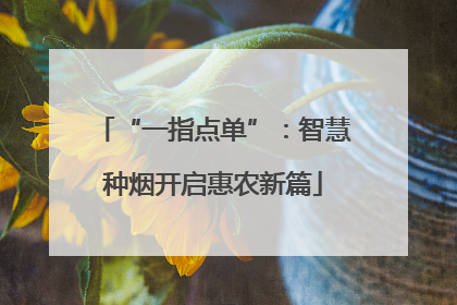 “一指点单”：智慧种烟开启惠农新篇