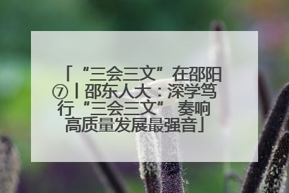 “三会三文”在邵阳⑦丨邵东人大：深学笃行“三会三文” 奏响高质量发展最强音
