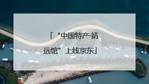 “中国特产·靖远馆”上线京东