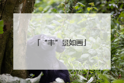 “丰”景如画