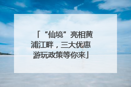 “仙境”亮相黄浦江畔，三大优惠游玩政策等你来