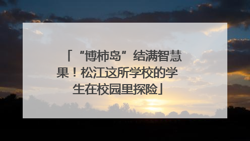 “博柿岛”结满智慧果！松江这所学校的学生在校园里探险