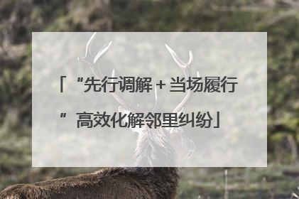 “先行调解＋当场履行”高效化解邻里纠纷