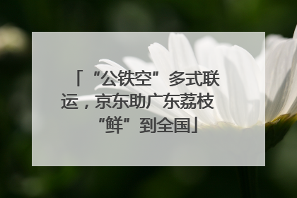 “公铁空”多式联运，京东助广东荔枝“鲜”到全国