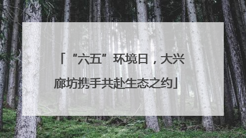 “六五”环境日，大兴廊坊携手共赴生态之约