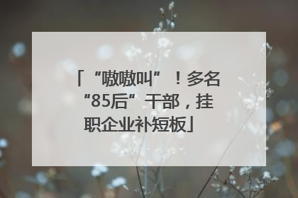 “嗷嗷叫”！多名“85后”干部，挂职企业补短板