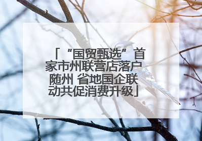 “国贸甄选”首家市州联营店落户随州 省地国企联动共促消费升级