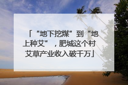 “地下挖煤”到“地上种艾”，肥城这个村艾草产业收入破千万