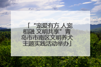 “宠爱有方 人宠相融 文明共享”青岛市市南区文明养犬主题实践活动举办