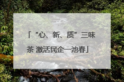 “心、新、质”三味茶 激活民企一池春