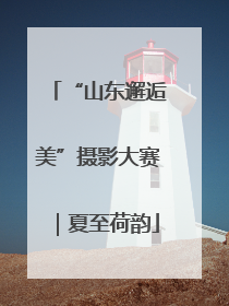 “山东邂逅美”摄影大赛｜夏至荷韵