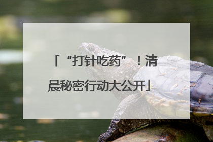 “打针吃药”！清晨秘密行动大公开