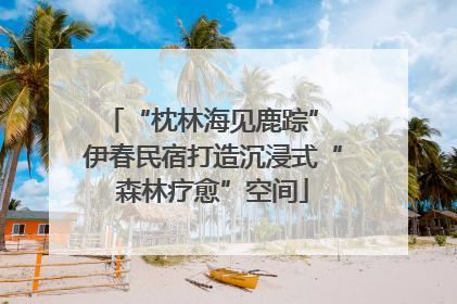 “枕林海见鹿踪” 伊春民宿打造沉浸式“森林疗愈”空间