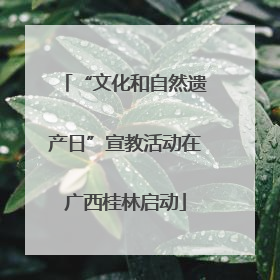 “文化和自然遗产日”宣教活动在广西桂林启动