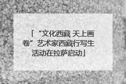 “文化西藏 天上画卷”艺术家西藏行写生活动在拉萨启动