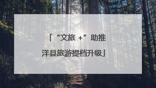“文旅 +”助推洋县旅游提档升级