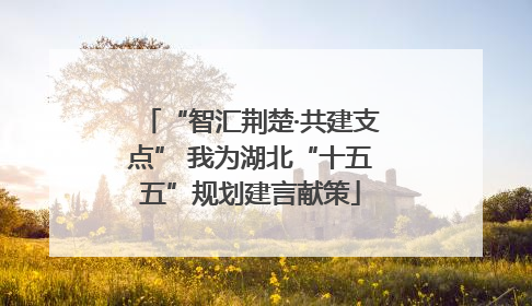 “智汇荆楚·共建支点” 我为湖北“十五五”规划建言献策