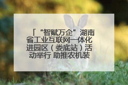“智赋万企”湖南省工业互联网一体化进园区（娄底站）活动举行 助推农机装备产业高质量发展