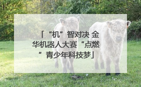 “机”智对决 金华机器人大赛“点燃”青少年科技梦