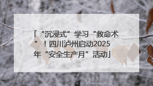 “沉浸式”学习“救命术”！四川泸州启动2025年“安全生产月”活动