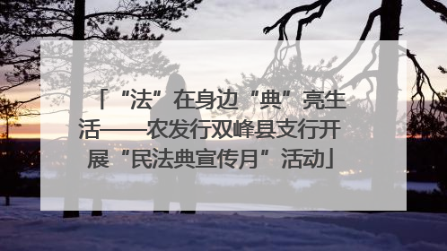 “法”在身边“典”亮生活——农发行双峰县支行开展“民法典宣传月”活动
