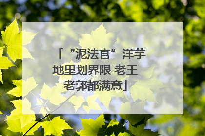 “泥法官”洋芋地里划界限 老王老郭都满意