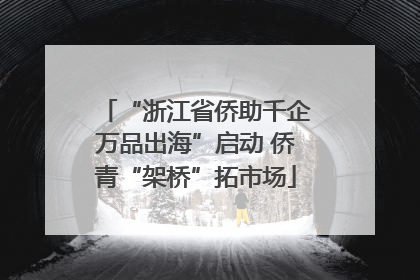 “浙江省侨助千企万品出海”启动 侨青“架桥”拓市场