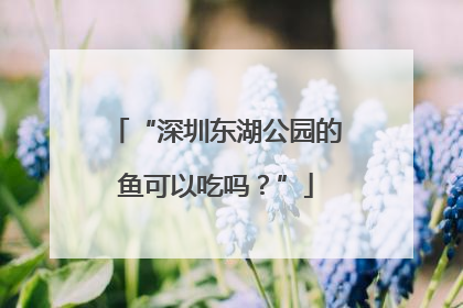 “深圳东湖公园的鱼可以吃吗？”