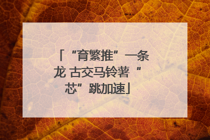 “育繁推”一条龙 古交马铃薯“芯”跳加速