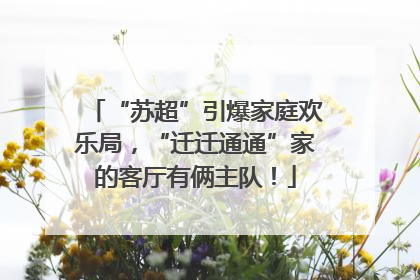 “苏超”引爆家庭欢乐局，“迁迁通通”家的客厅有俩主队！