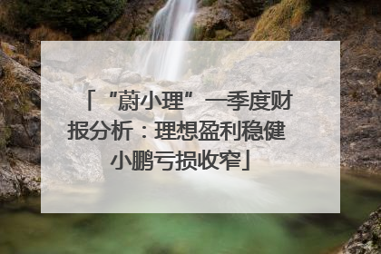 “蔚小理”一季度财报分析：理想盈利稳健 小鹏亏损收窄