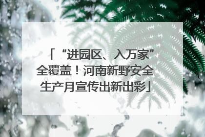 “进园区、入万家”全覆盖！河南新野安全生产月宣传出新出彩