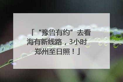 “豫鲁有约”去看海有新线路，3小时郑州至日照！