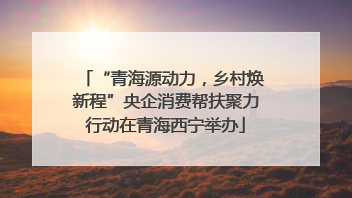 “青海源动力，乡村焕新程”央企消费帮扶聚力行动在青海西宁举办