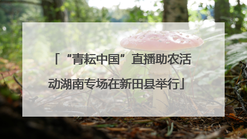 “青耘中国”直播助农活动湖南专场在新田县举行