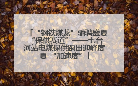“钢铁煤龙”驰骋盛夏 “保供赛道”——七台河站电煤保供跑出迎峰度夏 “加速度”