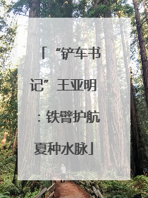 “铲车书记”王亚明：铁臂护航夏种水脉